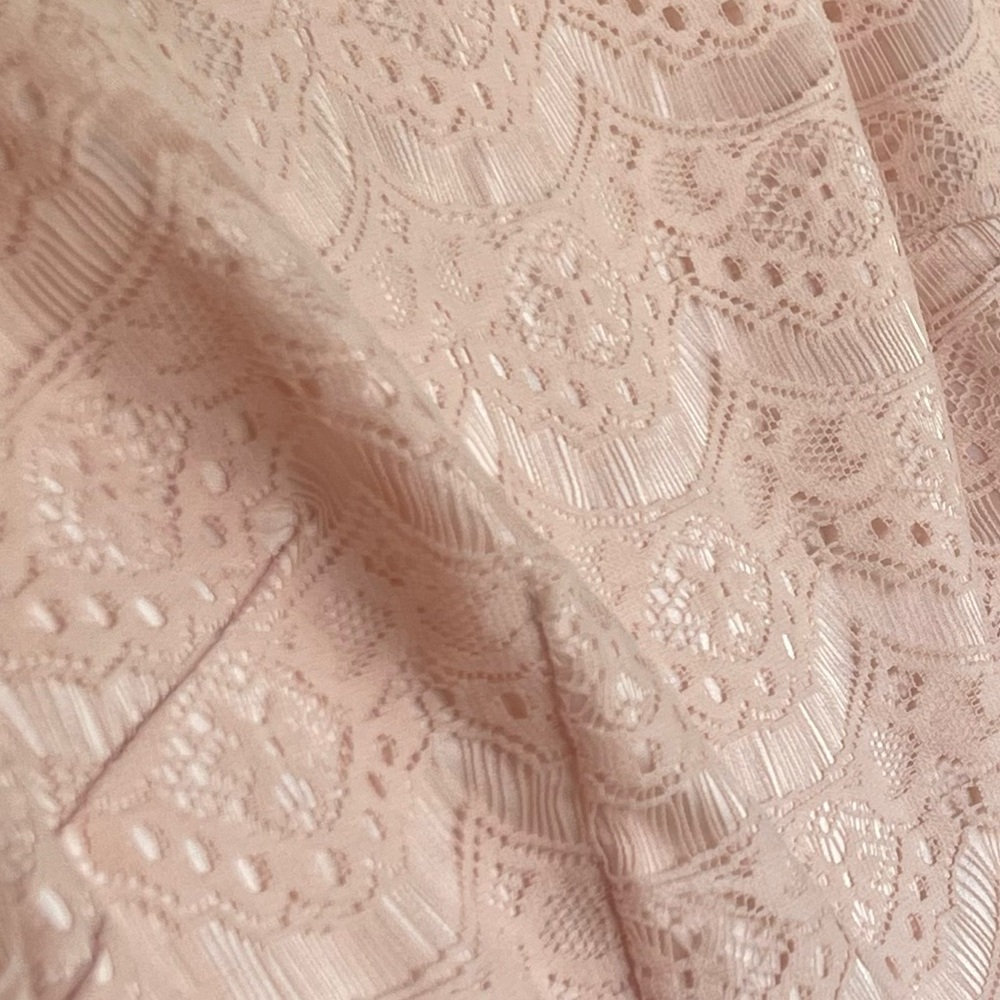ANTONIO MELANI Blush Lace Sheath Dress - Picture 3 of 16